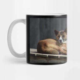 Dingo Mug